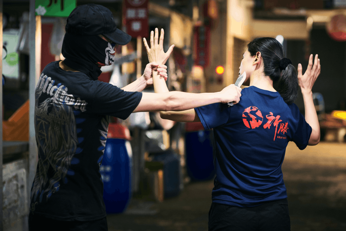 二、能力運作模型